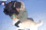 On a shoot about sled dogs in Greenland for Pro7. This was a puppy who had taken to me, and I it